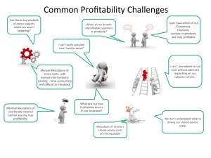 Common Profitability Challenges